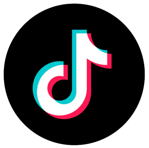 TikTok logo image
